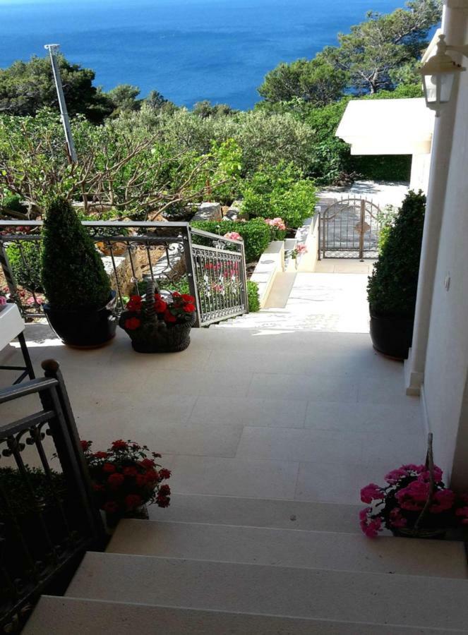 Guest House Fenix Brela Bagian luar foto