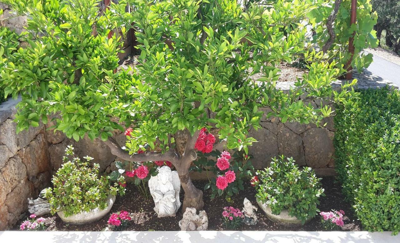 Guest House Fenix Brela Bagian luar foto