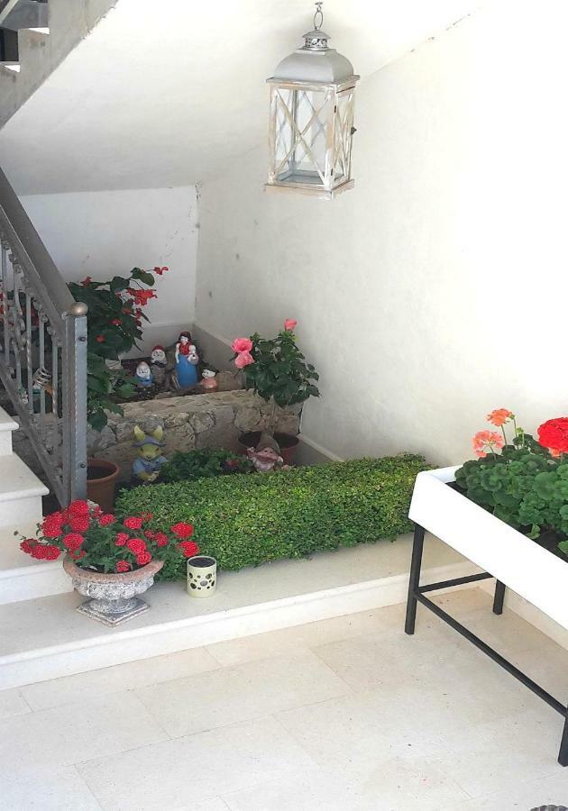 Guest House Fenix Brela Bagian luar foto