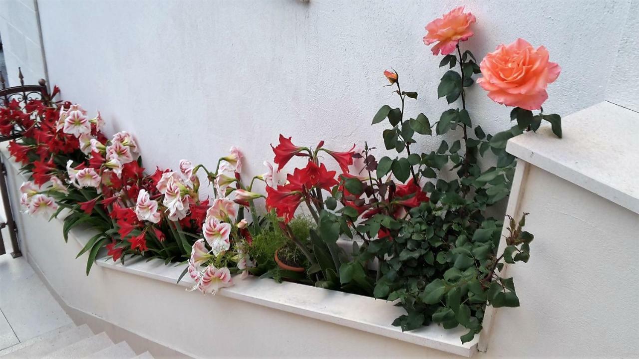Guest House Fenix Brela Bagian luar foto