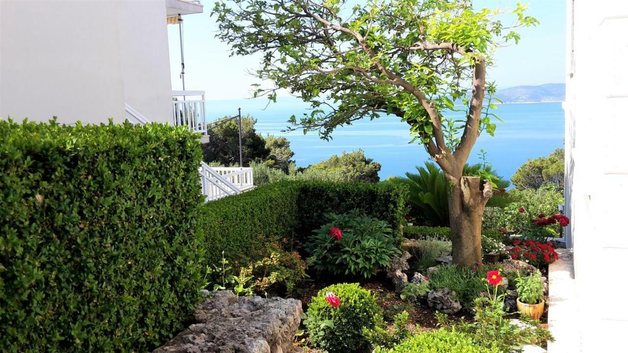 Guest House Fenix Brela Bagian luar foto